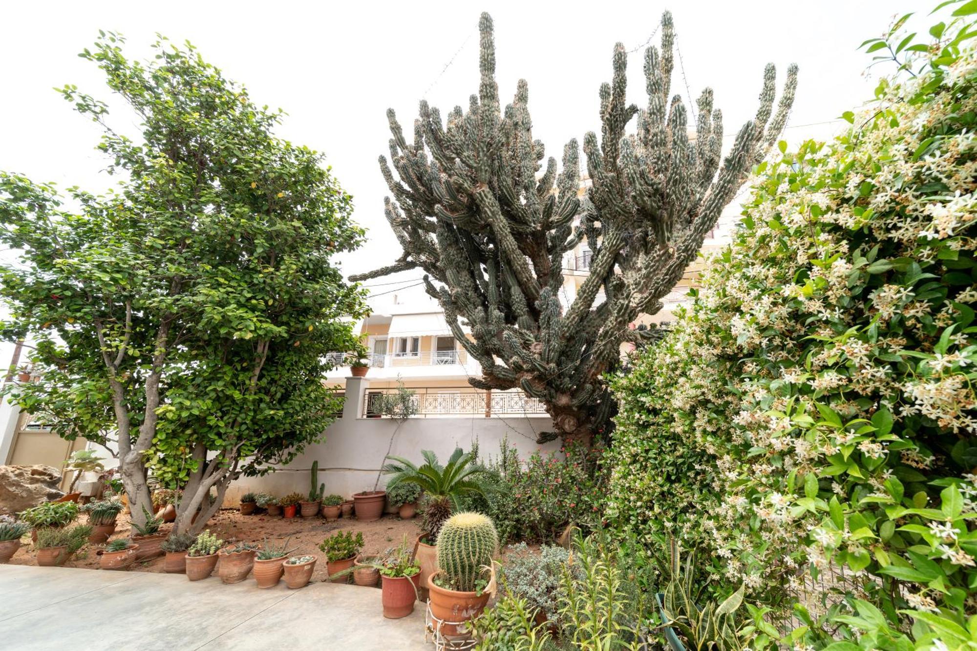 Cactus - Blooming Garden Apartments Kalamata Exterior foto